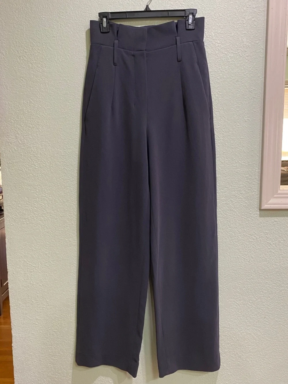 Babaton Aritzia Pants
